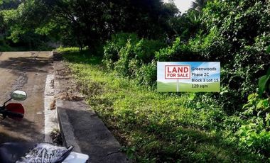 Most Affordable 129 Sqm Lot for Sale in Greenwoods near Talamban Cebu City