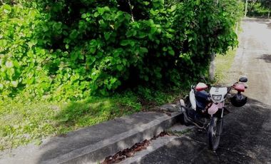 Most Affordable 129 Sqm Lot for Sale in Greenwoods near Talamban Cebu City