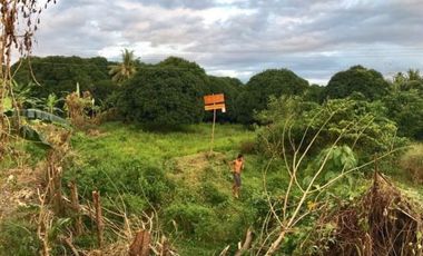 5,748 Sqm Lot for Sale in ABRA, Ilocos