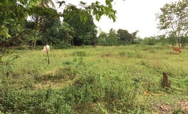5,748 Sqm Lot for Sale in ABRA, Ilocos
