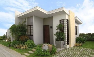 Amaia Mexico Series 40 Inner