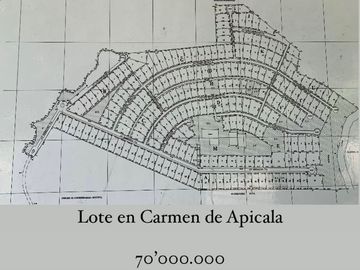 LOTE EN VENTA CARMEN DE APICALA