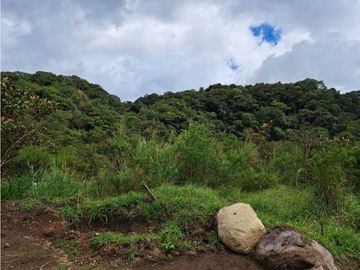 VENDO CASA RODEADA DE NATURALEZA BOQUETE
