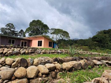 VENDO CASA RODEADA DE NATURALEZA BOQUETE