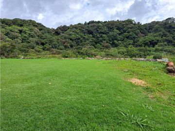 VENDO CASA RODEADA DE NATURALEZA BOQUETE