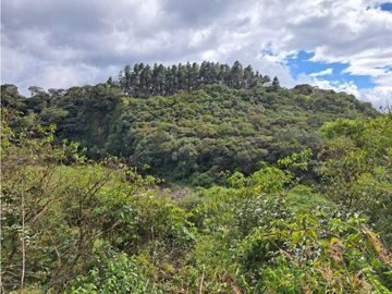 VENDO CASA RODEADA DE NATURALEZA BOQUETE