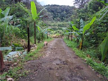 VENDO CASA RODEADA DE NATURALEZA BOQUETE