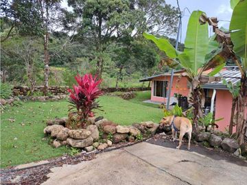 VENDO CASA RODEADA DE NATURALEZA BOQUETE