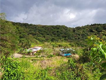 VENDO CASA RODEADA DE NATURALEZA BOQUETE
