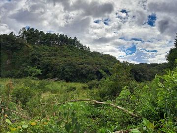VENDO CASA RODEADA DE NATURALEZA BOQUETE