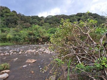 VENDO CASA RODEADA DE NATURALEZA BOQUETE