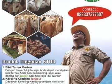 Kavling Kandang Domba 115 Jutaan