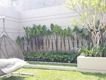 Rumah Full Furnished ala Sultan di Mainroad Citragrand