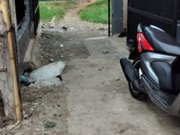 Rumah Baru Dijual Murah di Cimahi Tengah