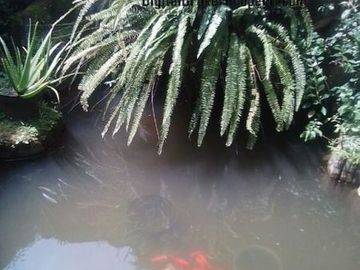 Rumah 2 lantai cocok utk buka usahakosan di pinggir jalan ramai daerah Girimekar Cijambe Bdg | SUTIAH