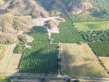 Se vende terreno de  23 hectáreas, zona corredor industrial, carretera libre Armería Manzanillo, Colima.