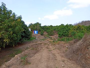 Se vende terreno de  23 hectáreas, zona corredor industrial, carretera libre Armería Manzanillo, Colima.