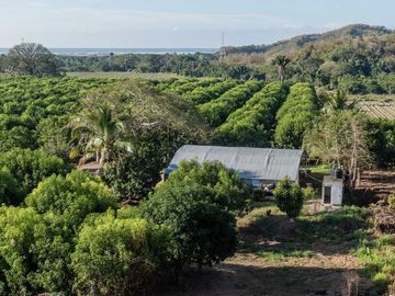 Se vende terreno de  23 hectáreas, zona corredor industrial, carretera libre Armería Manzanillo, Colima.
