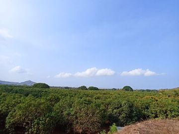 Se vende terreno de  23 hectáreas, zona corredor industrial, carretera libre Armería Manzanillo, Colima.