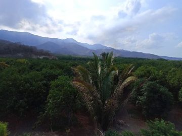 Se vende terreno de  23 hectáreas, zona corredor industrial, carretera libre Armería Manzanillo, Colima.