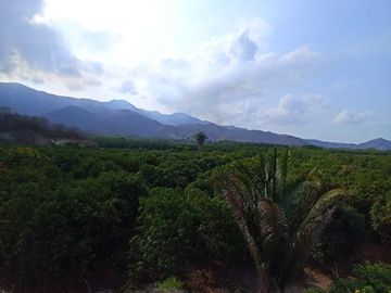 Se vende terreno de  23 hectáreas, zona corredor industrial, carretera libre Armería Manzanillo, Colima.
