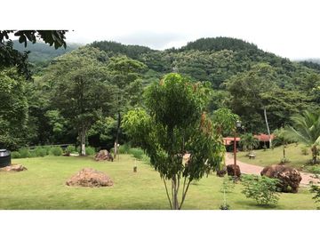 HERMOSA PROPIEDAD  en Sajalices-Chame >>4,200mt2<<