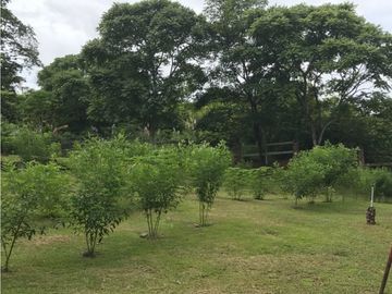 HERMOSA PROPIEDAD  en Sajalices-Chame >>4,200mt2<<