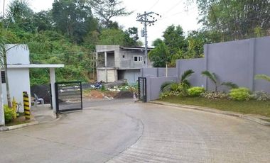Luxurious Single Attached Houses in Mandaue
