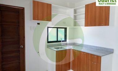 Luxurious Single Attached Houses in Mandaue
