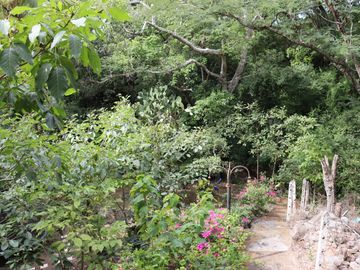 Quinta o Rancho en venta en Suchitlan, Colima