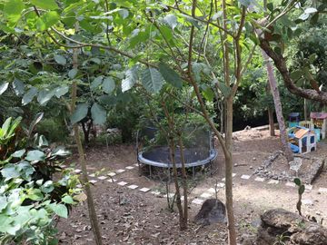 Quinta o Rancho en venta en Suchitlan, Colima