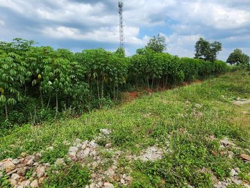 Tanah Strategis Siap Dibangun Di Jl Cijunti Cempaka Purwakarta