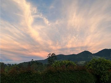 Venta Finca en el Carmen de Viboral sector Aguas Claras