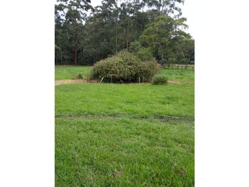Venta Finca en el Carmen de Viboral sector Aguas Claras