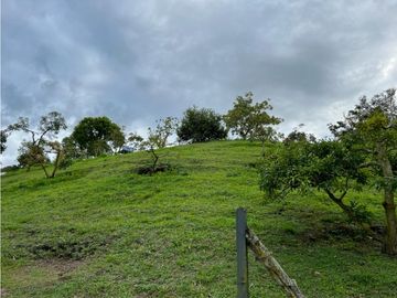Venta Finca en el Carmen de Viboral sector Aguas Claras