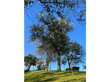 Venta Finca en el Carmen de Viboral sector Aguas Claras