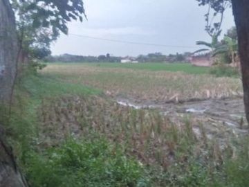 tanah Strategis 3350 m2 menghadap jalan raya solo Purwodadi dekat dengan halte bus Purwodadi Jakarta