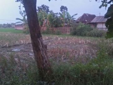tanah Strategis 3350 m2 menghadap jalan raya solo Purwodadi dekat dengan halte bus Purwodadi Jakarta