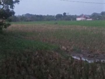 tanah Strategis 3350 m2 menghadap jalan raya solo Purwodadi dekat dengan halte bus Purwodadi Jakarta
