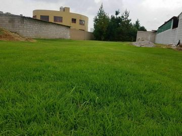 LOTE RESIDENCIAL EN VENTA CALIMAYA