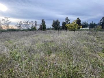 Parcela en venta en Talca 8.760 m2 al lado de la ciudad