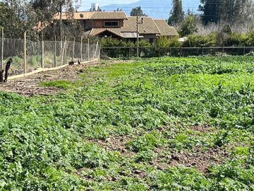 Parcela en Venta en Camino Alto Rumay