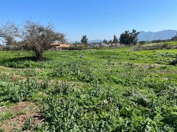 Parcela en Venta en Camino Alto Rumay