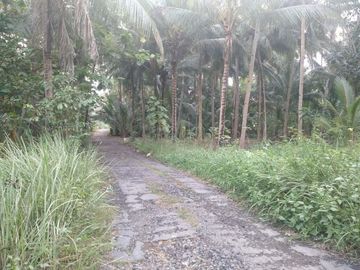 rumah dijual 190juta krembangan wates kulon progo