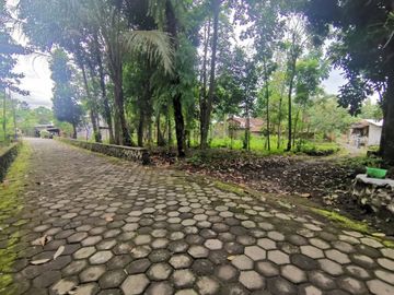 Tanah Pekarangan Luas di jln Magelang KM 17