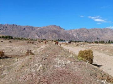 CAMPO DE 3,85 HECTÃREAS EN EL MAITÃN -CHUBUT-