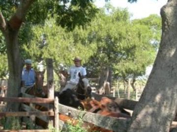 VENDO!! CAMPO GANADO 756 Ha !!! EL ESPINILLAR GRANDE