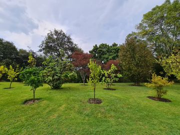 Espectacular Rancho en Venta en Valle de Bravo