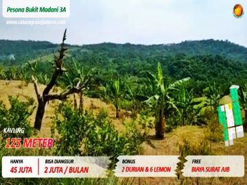 Kavling Kebun Free Durian dan Jeruk yang sudah tertanam