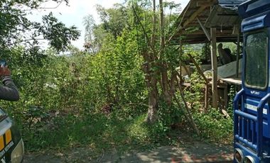 163 Sqm Sacrifice Sale Sloping Lot for Sale in El Monte Verde Consolacion Cebu